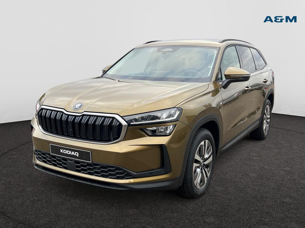 Skoda Kodiaq Kodiaq 1.5 TSI MHEV Family DSG, Argent ou Gris, Achat, Cruise Control, Automatique
