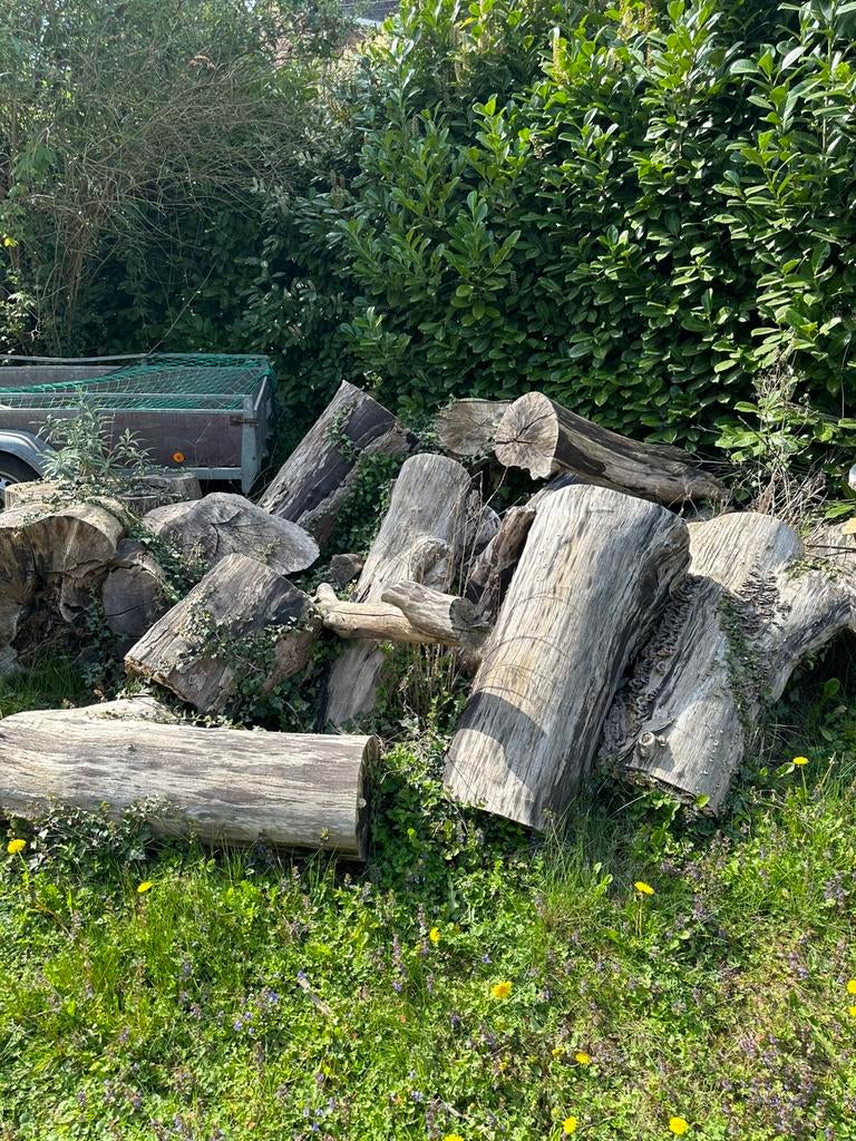 Bois a fendre, Enlèvement