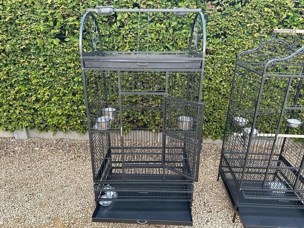 Papegaaienkooi Queen, Dieren en Toebehoren, Vogels | Hokken en Kooien, Nieuw, Vogelkooi, Metaal, Ophalen of Verzenden