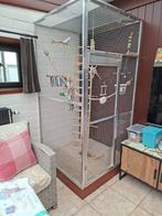 Vogelkooi panelen, Enlèvement, Cage à oiseaux