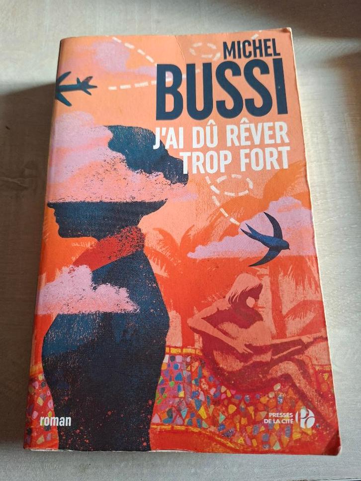 ROMAN MICHEL BUSSI IK MOEST TE HARD DROMEN 477 PAGINA' TUBE, Boeken, Romans, Gelezen, Wereld overig, Ophalen of Verzenden