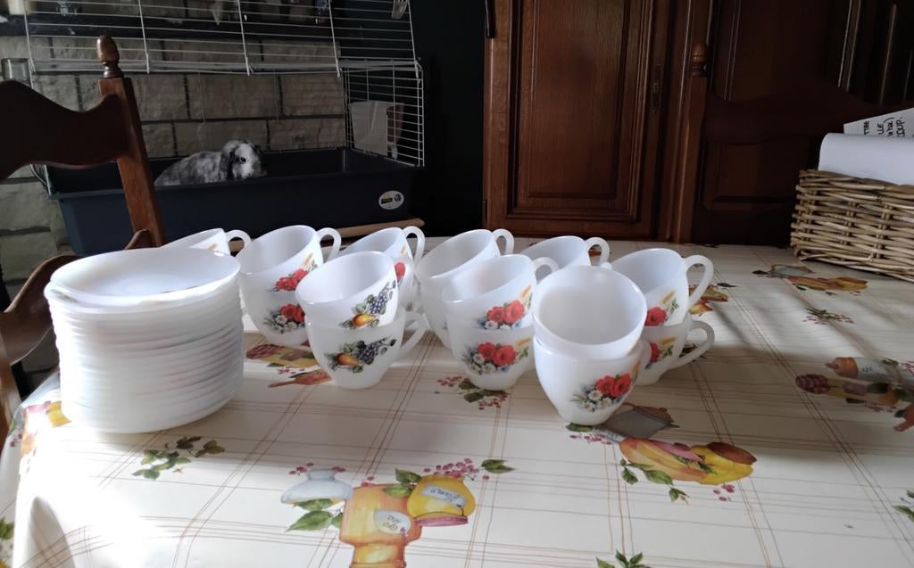 Lot de tasses arcopal, Enlèvement