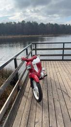 Honda wallaroo a klasse, Enlèvement