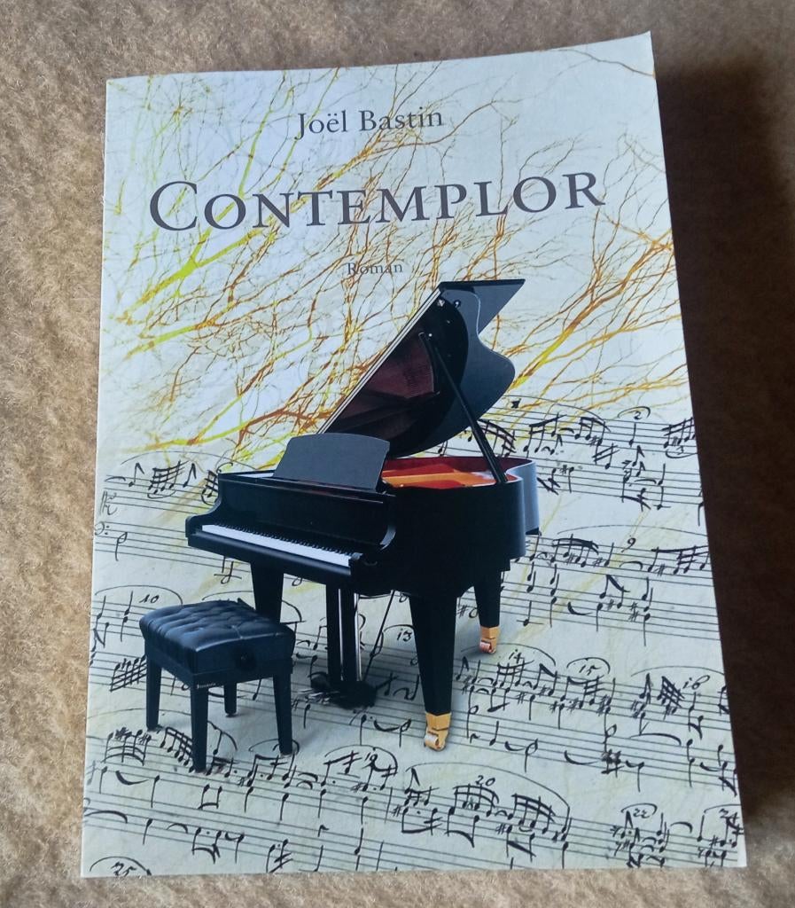 Contemplor, Livres, Comme neuf, Enlèvement, Europe autre, Joël bastin