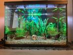 Aquarium 80 l, Dieren en Toebehoren, Ophalen, Zo goed als nieuw