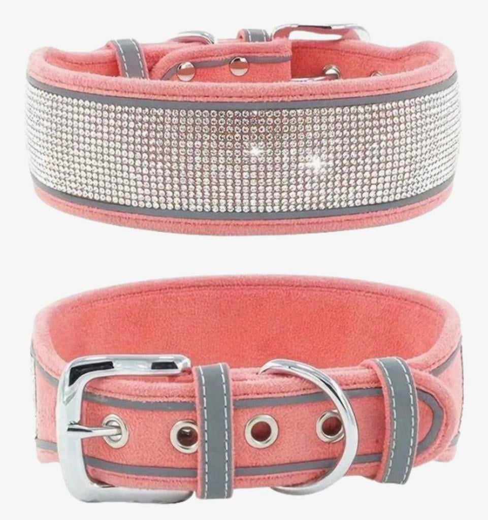 Halsband hond, Animaux & Accessoires, Colliers & Médailles pour chiens, Enlèvement ou Envoi, Neuf