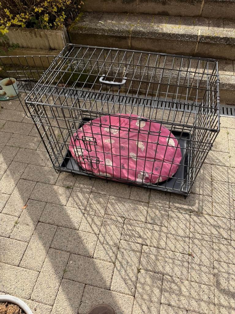 Cage pour chiens, Animaux & Accessoires, Accessoires pour chiens, Enlèvement, Utilisé