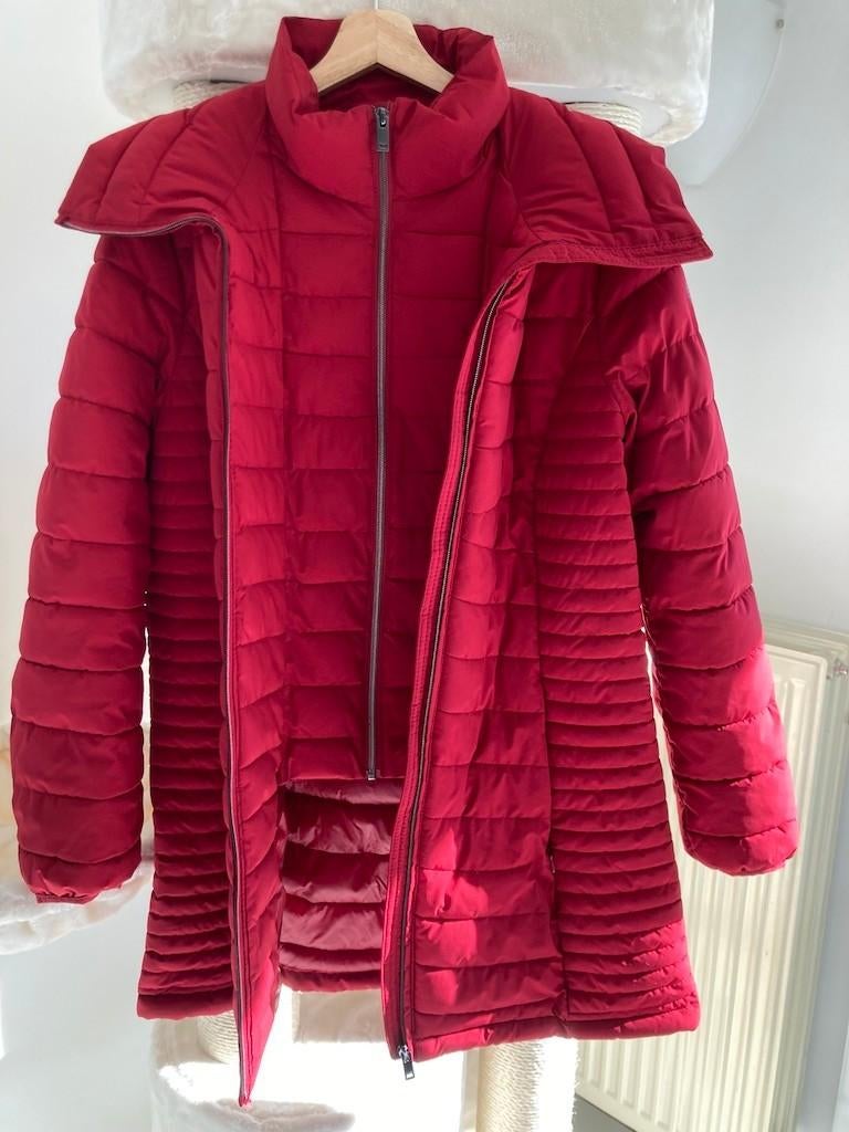 Gewatteerde lange jas in 2 vaste stukken  DKNY, Kleding | Dames, Jassen | Winter, Ophalen of Verzenden, Gedragen, Rood, DKNY