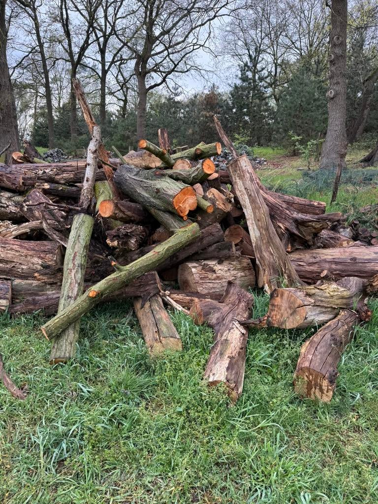 Brand hout te koop, Ophalen, Stammen