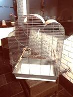vogelkooien, Ophalen, Zo goed als nieuw, Metaal, Vogelkooi