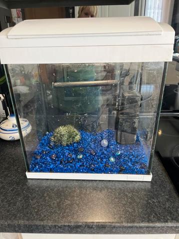 Aquarium 30 Liter met verlichting,pomp en steentjes beschikbaar voor biedingen