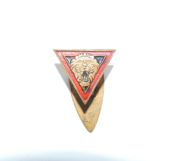 1944-45 BRIGADE PIRON FIRST BELGIAN GROUP Insignia, Verzamelen, Militaria | Tweede Wereldoorlog, Overige soorten, Ophalen of Verzenden