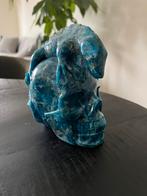 Skull leguaan kristal, Ophalen of Verzenden, Mineraal