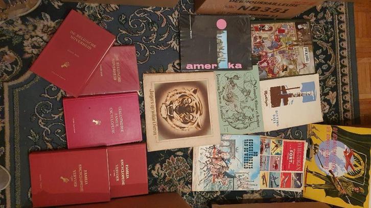 Verzameling plaatjesboeken, Boeken, Prentenboeken en Plaatjesalbums, Zo goed als nieuw, Plaatjesalbum, Ophalen of Verzenden