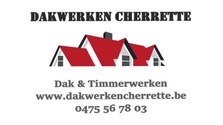 Dakwerker voor allerhande dak & gevelwerken, Services & Professionnels, Réparation & Entretien | Autre