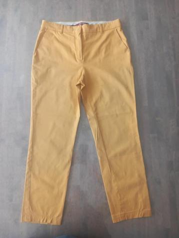Max Mara Studio damesbroek – ankle fit – okergeel – maat 38 beschikbaar voor biedingen