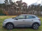 Opel Grandland X innovation, Autos, Opel, Carnet d'entretien, Achat, Particulier, Grandland