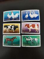 Pologne 1975 - oiseaux, poulet, oie, vache, cheval, Enlèvement ou Envoi, Pologne, Affranchi