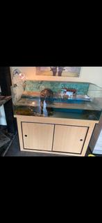 Schildpaddenbak met kast, Dieren en Toebehoren, Ophalen, Gebruikt, Terrarium of Paludarium