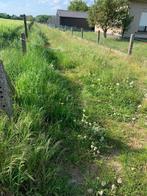 weide te huur - Herne - Rendries, Dieren en Toebehoren, Weidegang, 4 paarden of pony's of meer