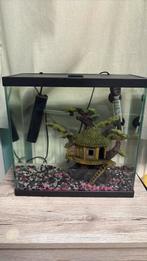 aquarium 18L, Ophalen, Nieuw, Overige typen