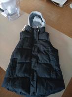 Nieuwe bodywarmer maat m, Kleding | Heren, Bodywarmers, Ophalen, Nieuw, Maat 48/50 (M)