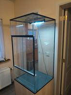 Mooi terrarium, Dieren en Toebehoren, Reptielen en Amfibieën | Toebehoren, Ophalen