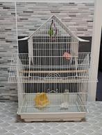 Très belle cage à oiseaux, Animaux & Accessoires, Comme neuf, Cage à oiseaux