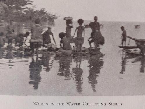Sexual Life of Savages in North Western Melanesia, Antiek en Kunst, Antiek | Boeken en Manuscripten, Ophalen of Verzenden