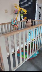 Tweelingpark Quax, Enlèvement