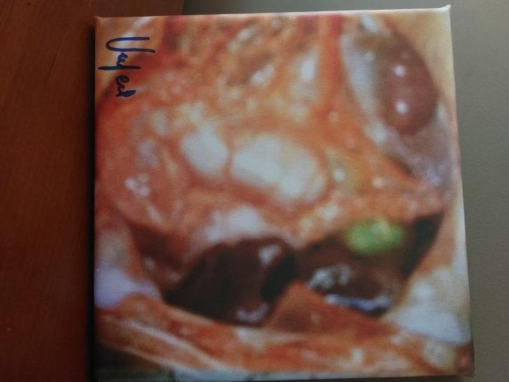 HUMEN guerre CORPS terreur APRÈS l'agression, Antiquités & Art, Art | Autres Art, Envoi