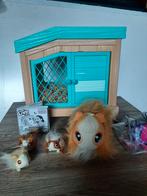 mama cavia met baby's, Kinderen en Baby's, Ophalen, Zo goed als nieuw