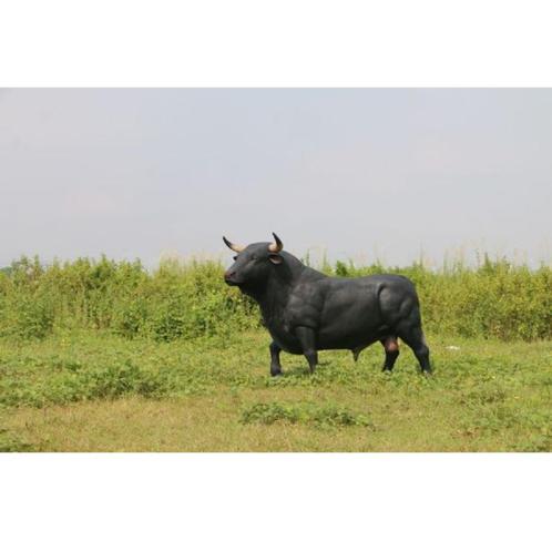 Spanish Fighting Bull beeld - Spaanse Stier Lengte 221 cm, Verzamelen, Dierenverzamelingen, Nieuw, Ophalen of Verzenden