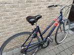 Fiets merk Thompson, Ophalen, Gebruikt, Overige merken, Versnellingen