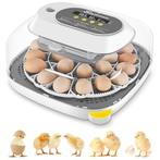 Incubator voor broedeieren | eierbroedmachine | Nieuw, -, -, Nieuw, Ophalen of Verzenden