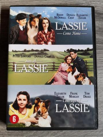 dvd set Lassie - 3 film collectie  beschikbaar voor biedingen