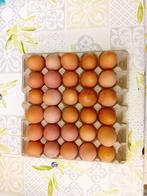 Verse eieren te koop, Divers, Produits alimentaires, Enlèvement