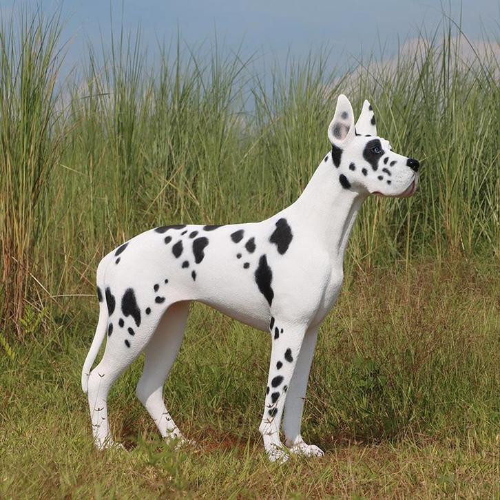 Great Dane beeld – Deense Dog- Lengte 124 cm, Verzamelen, Dierenverzamelingen, Nieuw, Ophalen