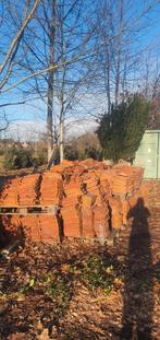 Lot dakpannen Ophaling in Neerpelt, Doe-het-zelf en Bouw, Ophalen, Dakpannen