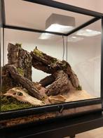 Terrarium te koop, Dieren en Toebehoren, Ophalen, Zo goed als nieuw, Terrarium of Paludarium