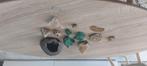 Lot de pierres semi précieuse dont une géode, Handtassen en Accessoires, Edelstenen, Ophalen