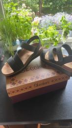 Sandalen Skechers maat 40, Vêtements | Femmes, Chaussures, Neuf, Skechers, Enlèvement ou Envoi, Noir