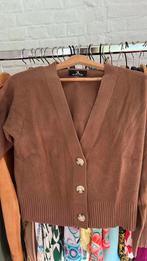 Gilet bruin medium, Kleding | Dames, Overige Dameskleding, Ophalen, Zo goed als nieuw