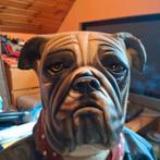 Bulldog gipsbuste... zeventien 50 cm bij 55 cm, Ophalen of Verzenden, Zo goed als nieuw