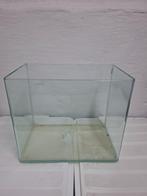 Enkele kleine terrariums / aquariums., Dieren en Toebehoren, Ophalen, Gebruikt, Terrarium of Paludarium