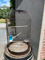 Vogelkooi, Ophalen, Zo goed als nieuw, Vogelkooi
