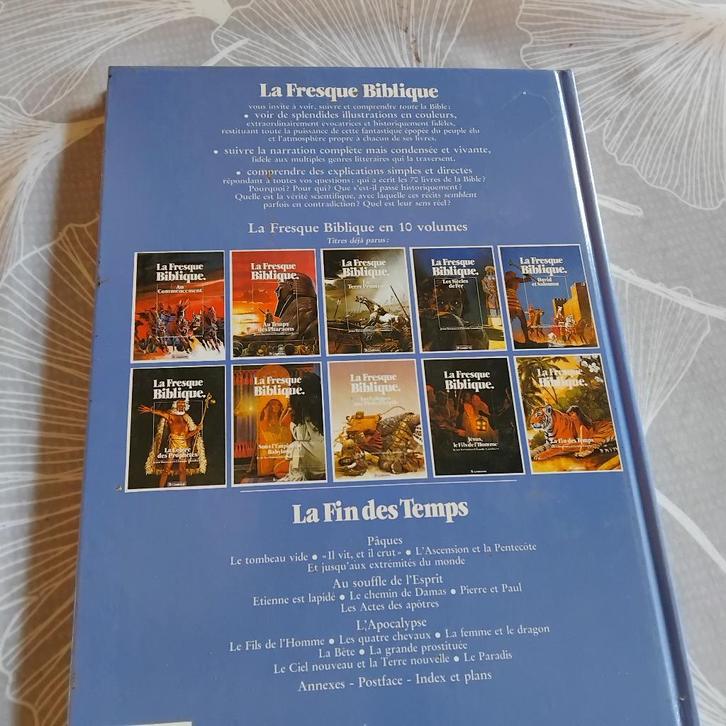 LA FRESQUE BIBLIQUE, Boeken, Godsdienst en Theologie, Zo goed als nieuw, Christendom | Katholiek, Ophalen