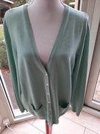 Supermooi vest PETER HAHN - 46/48, Kleding | Dames, Maat 46/48 (XL) of groter, Ophalen of Verzenden, Zo goed als nieuw, Peter Hahn