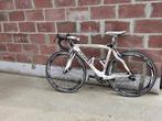 Pinarello Dogma, Gebruikt, 49 tot 53 cm, Meer dan 20 versnellingen, Ophalen