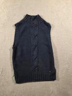 Tommy hilfiger trui voor dames L blauw, Ophalen of Verzenden